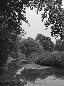 Rural England 1930s Drucke: The River Mole