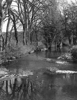 Der Fluss Mole