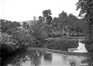 Early 20th Century Ireland Drucke: A river view, unidentified