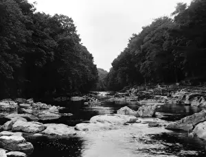 English River Landscapes Drucke: Rivers Greta & Tees