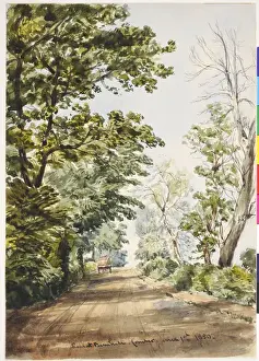 Straße am Barnhill in Comber