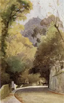 Portuguese Heritage Sites Drucke: A Road in Cintra