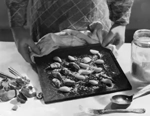 Historical Food Images Drucke: Roasted Hazel Nuts