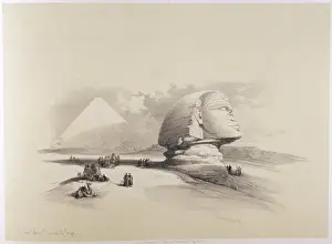 Robertssphinx seitlich