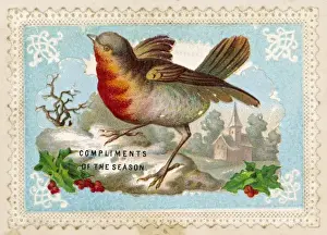 Drucke von Robin in einer Winterlandschaft Robins Drucke: Robin in Winter Szene