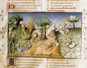 Historical Miniature Paintings Drucke: The Romance of the Rose