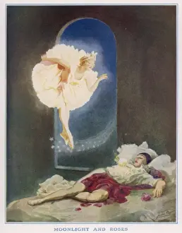 Historical Fantasy Art Drucke: Roses & Moonlight