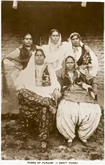 Rosen des Punjab