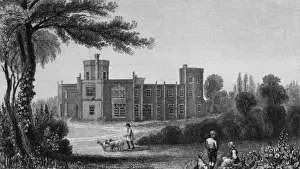Flock Of Sheep Images Drucke: Rougham Hall, Suffolk