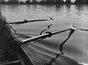 Ruderschiff Ruderblätter