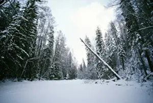 Russia Landscape Photography Drucke: Russia