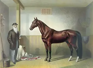 American Horse Racing Drucke: Rysdyks Hambletonian