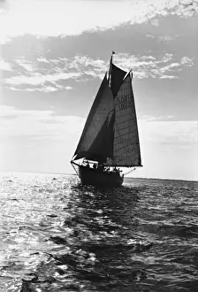 Sailing Ships Drucke: Sailing Ship