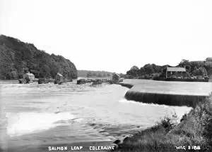 Drucke von Der Salmon Leap, Coleraine - eine Aussicht über einen Wehr auf den Foyle Coleraine Drucke: Salmonfresser-Sprung, Coleraine