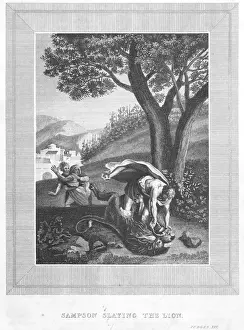 Biblical Scene Illustration Drucke: Samson slaying the lion
