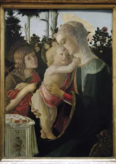 Drucke von Sandro Botticelli (1445-1510) Sandro Botticelli Drucke: Sandro Botticelli (1445-1510) - Die Jungfrau und das Kind mit Heiliger Johannes