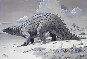 Gerahmter Druck : Scelidosaurus Gerahmter Druck : Scelidosaurus