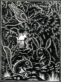 Wildlife Scene Drucke: A scene of nature