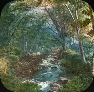 Landschaft von Devon - Ivybridge - Blick auf den Fluss Erme
