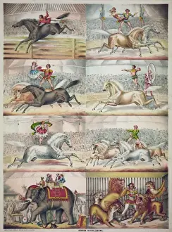 Horse Riding Pictures Drucke: Scenes in the arena