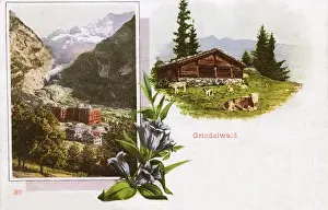 Dramatic Mountain Landscapes Drucke: Scenes around Grindelwald