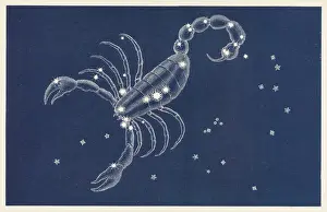 Sternkarten Drucke: Scorpio
