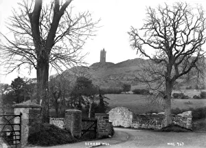 County Down Images Drucke: Scrabo Hill