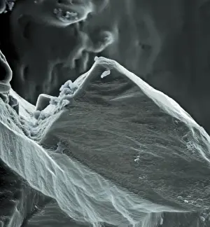 Scanning Electron Microscope Pictures Drucke: Sea salt