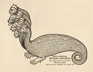 Meereswyrm Hydra