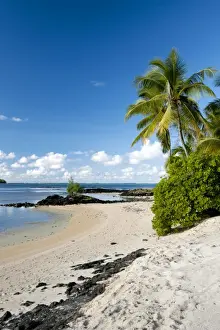 Tropical Beach Holidays Drucke: Sea view and a beach