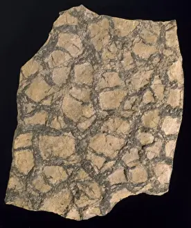 Rock Surface Texture Drucke: Sedimentary layer of rock