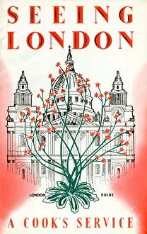 Thomas Cook Brochure Cover Drucke: Seeing London