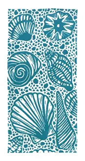 Marine Life Prints Drucke: A selection of seashells