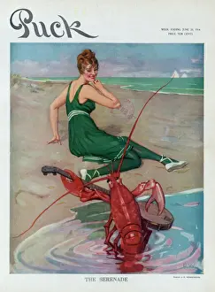 Vintage Cartoon Art Drucke: The serenade