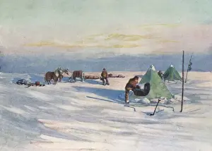 Shackleton Antarctic Expedition Drucke: Shackleton on Ice