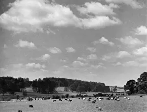 Buckinghamshire Landscape Photography Drucke: Shardlows Park