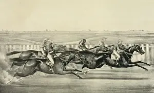 American Horse Racing Drucke: A sharp pace from start to finish