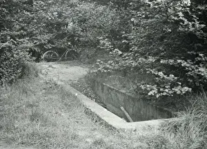 Bexley Area Views Drucke: Sheep dip