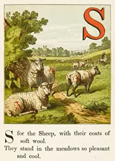 Schaf und Hirte, 1867