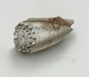 Invertebrate Animals Drucke: Shell and crab by Olga Makrushenko