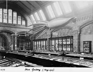 Galerie der Schale, Mai 1911