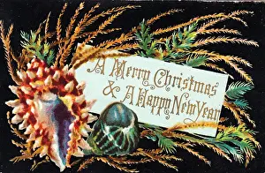 Late 19th Century Christmas Card Drucke: Shells and pine branches on a Christmas card