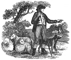 Shepherd With Sheep Drucke: Shepherd, c. 1800