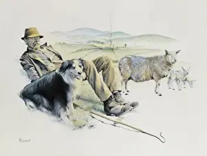 Rural Farming Scenes Drucke: Shepherd at rest