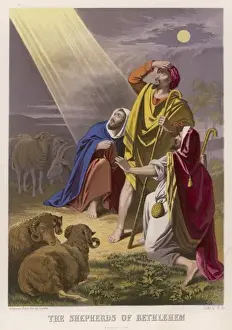 Annunciation To The Shepherds Drucke: Shepherds Informed