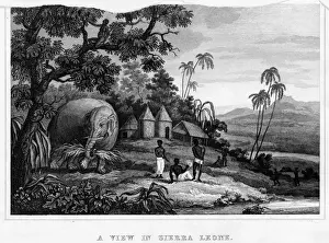 Drucke von Ländlicher Bild mit Elefant Verwandte Bilder Drucke: Allgemeiner Leutnant im Sierra-Leone-Reichsgarde