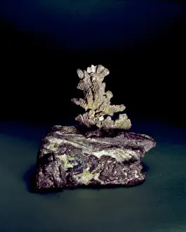 North American Minerals Drucke: Silver on Copper