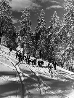 Skiing In The Mountains Drucke: Skiing Lesson