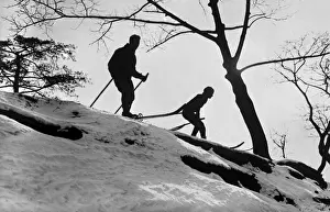 Winter Sport Photography Drucke: Skiing Silhouette