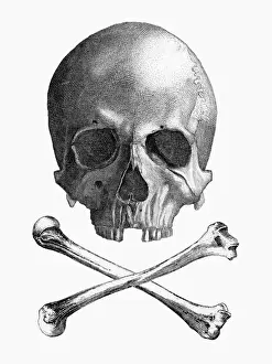 Kopf und Kreuzkeule